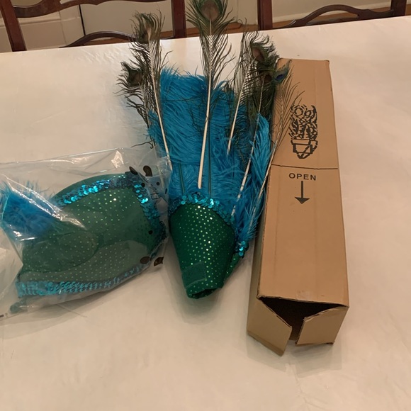 Chasing Fireflies Wishcraft Peackok Costume Sz 6. - Picture 7 of 16